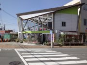 「花大」　（静岡県浜松市浜名区）の花屋店舗写真1